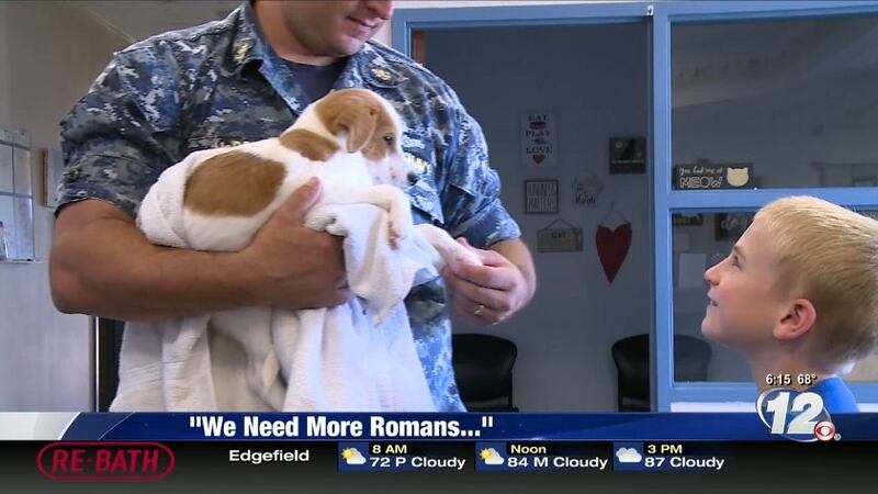 Roman McConn, 7, is the leader of Project Freedom Ride, a dog rescue operation he started at...