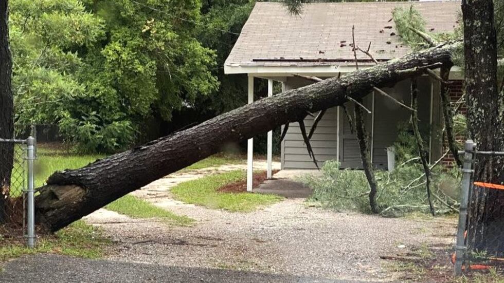 A tree fell on a house on Redd Drive in Augusta as storms brought continued rain to the CSRA.