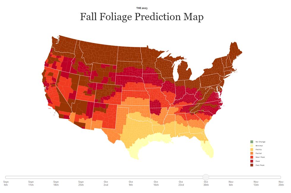 Prediction