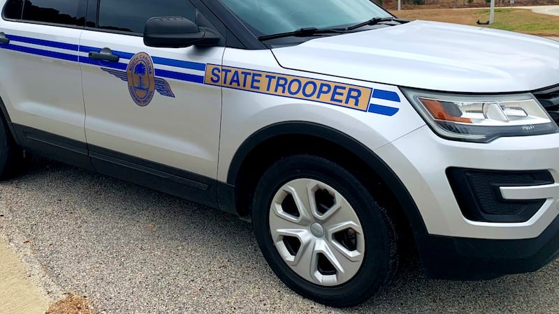 1 person killed in Orangeburg County single-vehicle crash